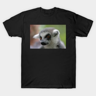 Ring-Tailed Lemur 2 T-Shirt